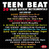 Teen Beat Volume 1 CD