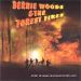 Bernie Woods and The Forest Fires CD rockabilly at Raucous Records.