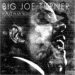 Big Joe Turner Rocks In My Bed CD