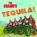 The Champs Tequila 2CD 1950s rock 'n' roll instrumentals at Raucous Records.