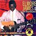 Elmore James Classic Early Recordings 1951-1956 3CD Set