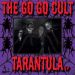 Go Go Cult Tarantula 10" LP psychobilly vinyl at Raucous Records.