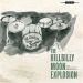 Hillbilly Moon ExplosionBy Popular Demand CD rockabilly at Raucous Records.