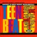 Teen Beat Volume 5 CD